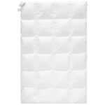 Sleeptex Sleeptex CELOROČNÍ PŘIKRÝVKA