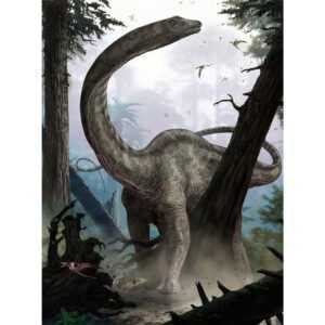 Komar Komar VLIESOVÁ TAPETA velikost: 184/248 cm