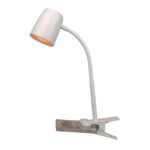 LED SVÍTIDLO SE SVORKOU