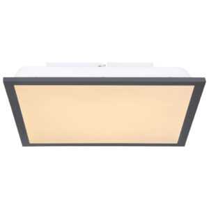 Globo Globo STROPNÍ LED SVÍTIDLO