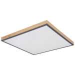 Globo Globo STROPNÍ SVÍTIDLO