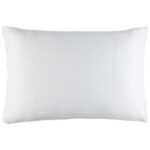 Sleeptex Sleeptex ANATOMICKÝ POLŠTÁŘ 40/60 cm