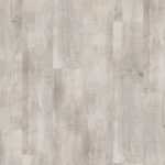 Creation 55 Arena 0060