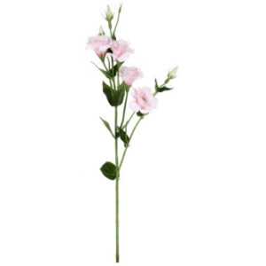 ASKO - NÁBYTEK Umělá květina Eustoma 80 cm