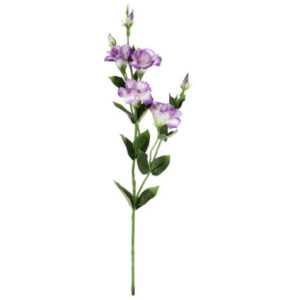 ASKO - NÁBYTEK Umělá květina Eustoma 80 cm