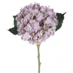 ASKO - NÁBYTEK Umělá květina Hortenzie 50 cm