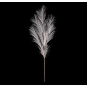 ASKO - NÁBYTEK Umělá květina Pampas tráva 77 cm