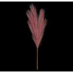 ASKO - NÁBYTEK Umělá květina Pampas tráva 77 cm