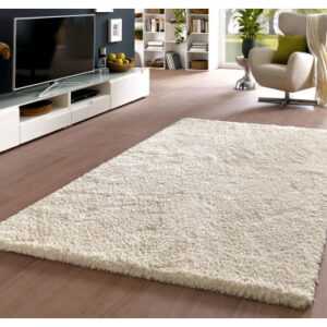 ASKO - NÁBYTEK Koberec Smooth 80x150 cm