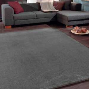 ASKO - NÁBYTEK Koberec Smooth 80x150 cm