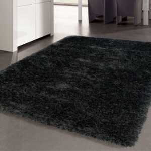ASKO - NÁBYTEK Koberec Glossy 120x170 cm