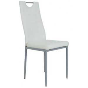 ASKO - NÁBYTEK Jídelní židle Kim