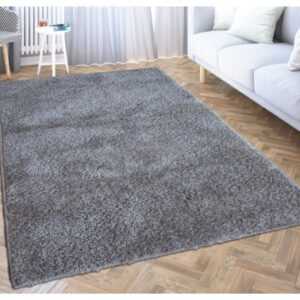 ASKO - NÁBYTEK Koberec Flash Shaggy 120x170 cm