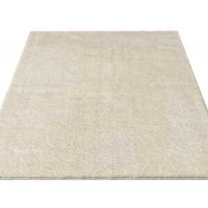 ASKO - NÁBYTEK Koberec Galaxy Shaggy 160x230 cm