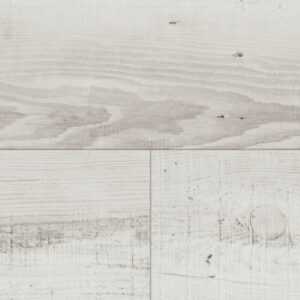 Borovice Moonlight Pale DLC00104