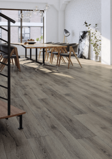 Arbiton Dub Argos CA 116 Arbiton Dub Argos CA 116