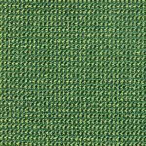 E-Check 20 green