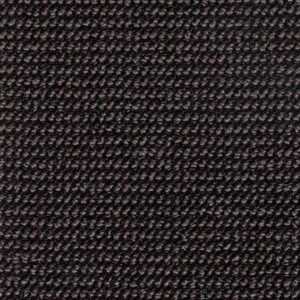 E-Check 41 blacked violet