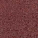 E-Firm 11 red