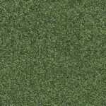 E-Force 22 green
