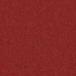 E-blitz 10 red