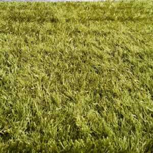 Shaggy Lilou green 93100