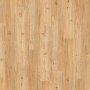 Creation 55 Rigid Lock Acoustic Ballerina 0347